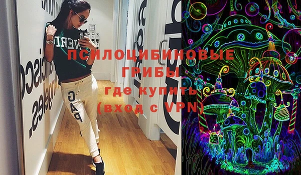 ГАЛЛЮЦИНОГЕННЫЕ ГРИБЫ Белокуриха