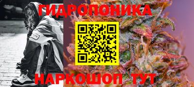 гашик Ликино-Дулёво