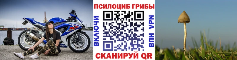 Псилоцибиновые грибы Cubensis  цены   Вязьма 