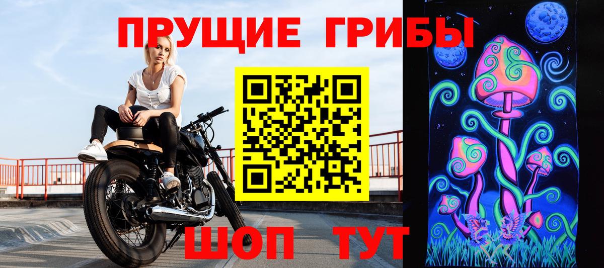 Галлюциногенные грибы Psilocybe  Галлюциногенные грибы GOLDEN TEACHER  Вход с VPN  Вязьма 