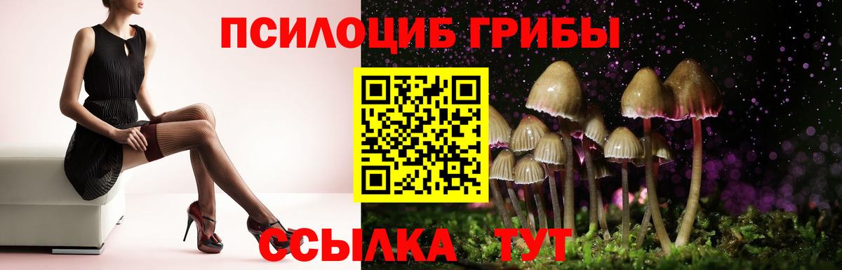 Галлюциногенные грибы прущие грибы Вязьма